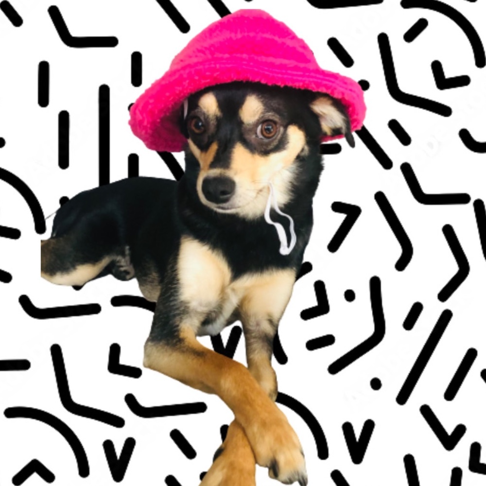 Style by Greta